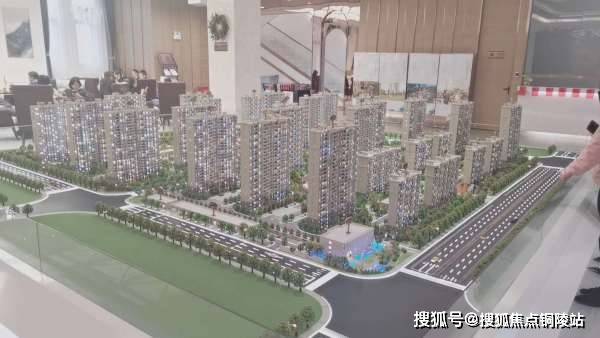 一分钟揭秘！扑克牌感应器真的假的,推荐5个购买渠道