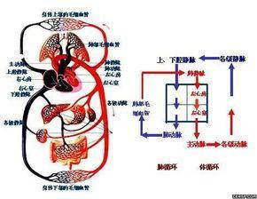 一分钟揭秘！非常麻将有内部操作吗(怎么提高好牌率)