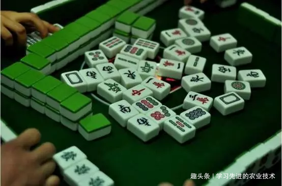 详细说明“麻将实战之如何猜牌算牌“推荐5个购买渠道