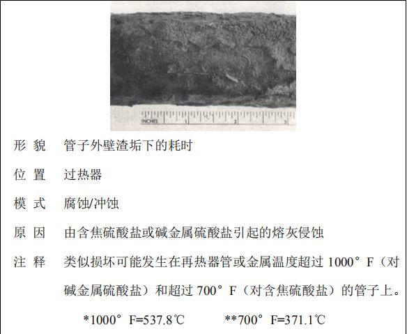 5分钟教会你“看穿碗里的硬币图案“推荐1个购买渠道