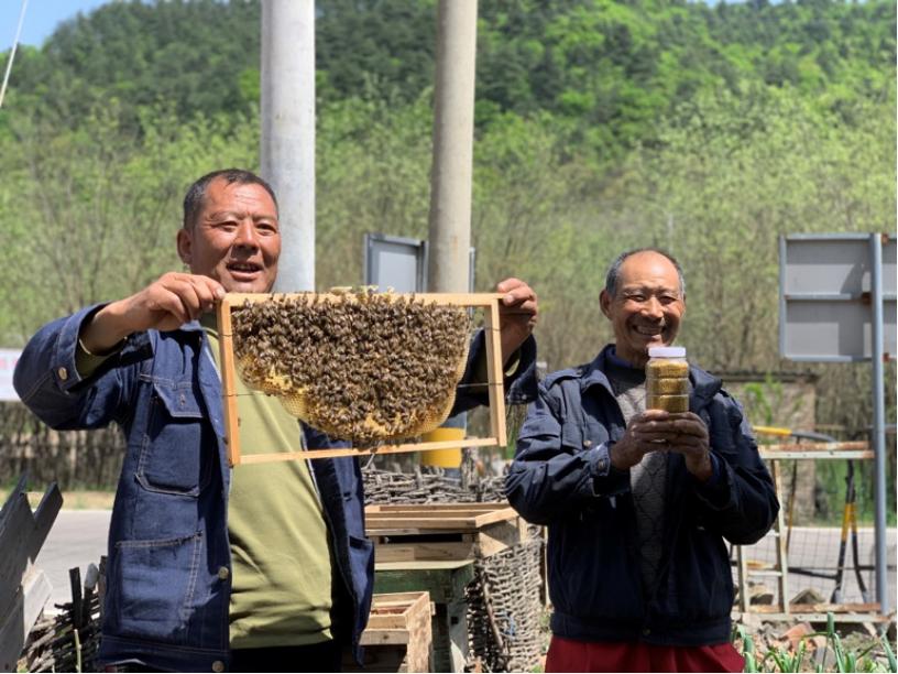 必看盘点揭秘!打牌九总是输怎么办“推荐6个购买渠道