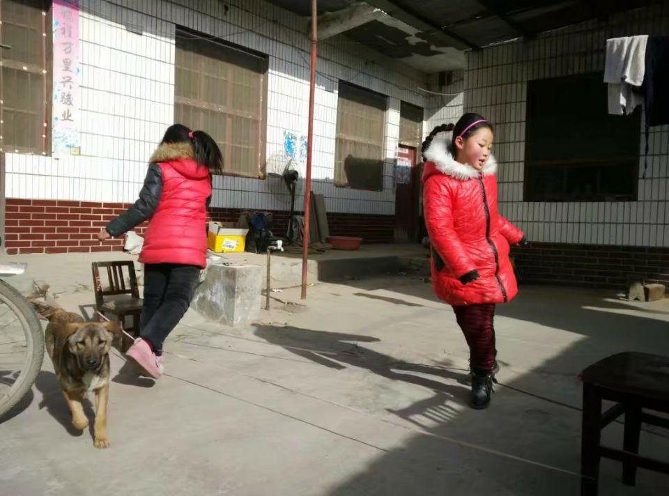 玩家必备攻略“闲来广东麻将一直输”详细教程辅助工具