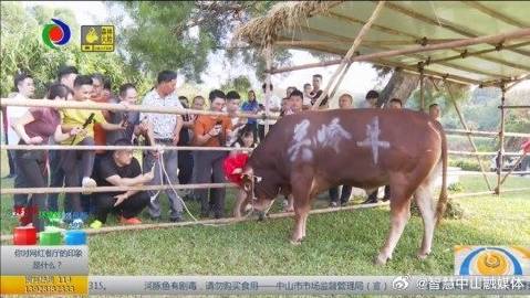 (2分钟介绍)“牛牛怎么压容易赢钱“推荐6个购买渠道