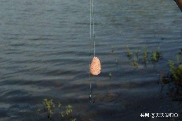 钓淡水鱼如何挂鱼饵线和线（钓淡水鱼技巧）