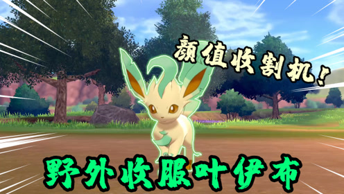 河马互娱免费挂（河马游戏官网）