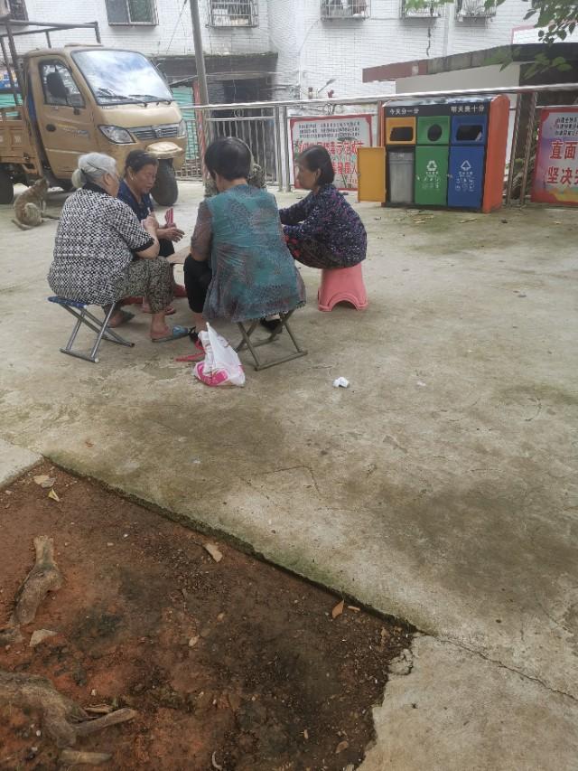 必看盘点揭秘!相约福建麻将怎么样能开挂吗-哔哩哔哩 