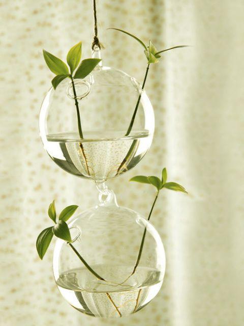 玻璃挂金花瓶（花瓶 玻璃）