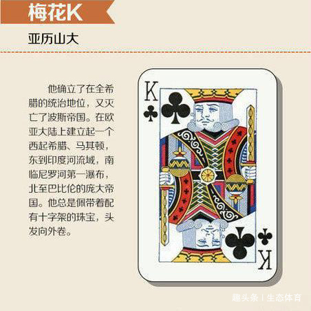 5分钟教会你“普通扑克纸牌先进仪器“推荐5个购买渠道